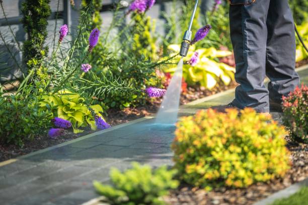Trusted Cold Spring, MN Pressure Washing Services Experts