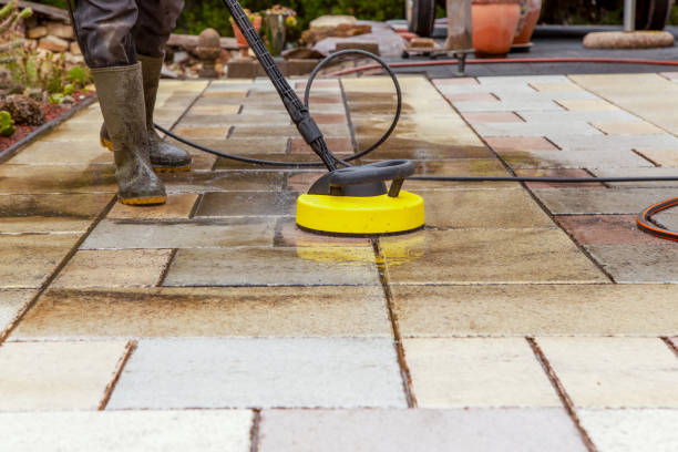 Best House Exterior Washing  in Cold Spring, MN
